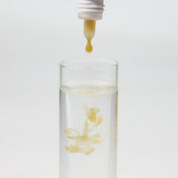 ProNovo Bel Fluid Baby JBL - Aliment d'élevage liquide pour très petits alevins de poissons d'aquarium ovipares