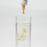 ProNovo Bel Fluid Baby JBL - Aliment d'élevage liquide pour très petits alevins de poissons d'aquarium ovipares
