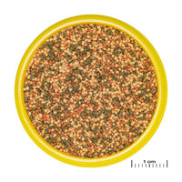 ProNovo Bel Grano S JBL - Aliment de base en granulés pour poissons d'aquarium de 3 à 10 cm