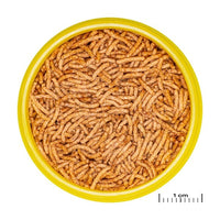 ProNovo Betta Insect Stick S JBL - Aliment en bâtonnets pour combattants de 3 à 10 cm