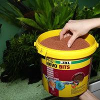 ProNovo Bits Grano M JBL - Aliment de base en Granulés pour Discus et autres cichlidés d'Amérique du Sud de 8 à 20 cm