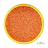 ProNovo Bits Grano M JBL - Aliment de base en Granulés pour Discus et autres cichlidés d'Amérique du Sud de 8 à 20 cm