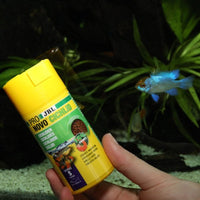 ProNovo Cichlid Grano S JBL - Aliment de base en granulés pour petits Cichlidés de 3 à 10 cm