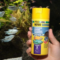 ProNovo Gourami Grano S JBL - Aliment de base en granulés pour Gouramis de 3 à 10 cm