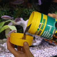 ProNovo Malawi Grano M JBL - Aliment de base en Granulés pour Cichlidés herbivores de 8 à 20 cm