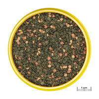 ProNovo Malawi Grano M JBL - Aliment de base en Granulés pour Cichlidés herbivores de 8 à 20 cm