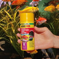 ProNovo Red Grano M JBL - Aliment de base en granulés pour poissons rouges de 8 à 20 cm