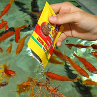 ProNovo Red Insect Stick S JBL - Friandises en bâtonnets pour poissons rouges de 3 à 10 cm