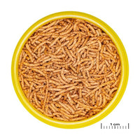 ProNovo Red Insect Stick S JBL - Friandises en bâtonnets pour poissons rouges de 3 à 10 cm