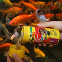 ProNovo Red Flakes M JBL - Aliment de base en flocons pour poissons rouges de 8 à 20 cm