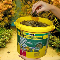 ProNovo Spirulina Flakes M JBL - Aliment de base en Flocons pour poissons herbivores de 8 à 20 cm