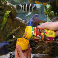 ProNovo Tanganyika Flakes M JBL - Aliment de base en Flocons pour Cichlidés prédateurs de 8 à 20 cm