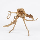 Racine Naturelle Polished DriftWood SCALARE - 45 à 58 cm