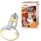 REPTIZOO Intense Spot-zonnelamp - 25W