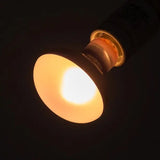 Basking Spot Daglichtlamp REPTIZOO - 150W
