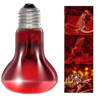 Infrarood zonneplek REPTIZOO - Infrarood verwarmingslamp 50W