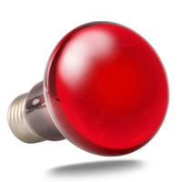 Infrarood zonneplek REPTIZOO - Infrarood verwarmingslamp 50W