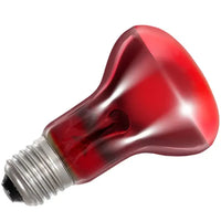 Infrarood zonneplek REPTIZOO - Infrarood verwarmingslamp 50W