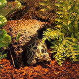 REPTIZOO Kiefernrindensubstrat – 8 l