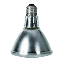 REPTIZOO Halogeenspot - 100W