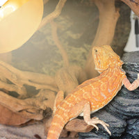 REPTIZOO SuperSun UVA + UVB-lamp - 100W