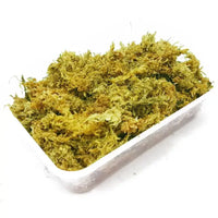 REPTIZOO Chilimossubstraat - 100 g