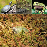 REPTIZOO Chilimossubstraat - 100 g