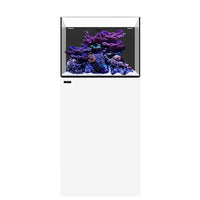 Marine AIO 35.2 Blanc WATERBOX - Aquarium Marin 125 L