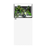 Aquarium AIO 35.2 Blanc WATERBOX - 125 L