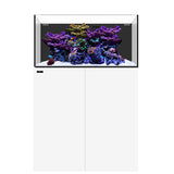 Marine AIO 50.3 Blanc WATERBOX - Aquarium Marin 186 L