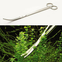 Ciseaux Angulaires AQUAEL - 25 cm