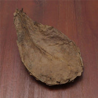Feuilles de Catappa