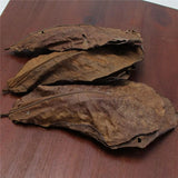 Feuilles de Catappa
