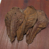 Feuilles de Catappa