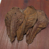 Feuilles de Catappa