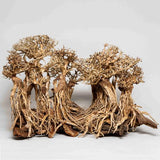 Sculpture Bois Layout Forest AQUADECO S - 40 x 30 cm