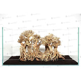Sculpture Bois Layout Forest AQUADECO XL - 80 x 45 cm