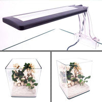 Nano Aquarium NanoTank Cubo System 20 LED Équipé AMTRA - 18L