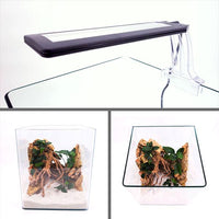 Nano Aquarium NanoTank Cubo System 30 LED Équipé AMTRA - 30L