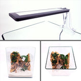 Nano Aquarium NanoTank Cubo System 30 LED Équipé AMTRA - 30L