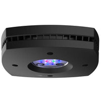 AI Prime 16HD Reef noir AQUA ILLUMINATION 59W - Rampe LED Récifal