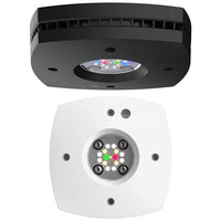 AI Prime Freshwater noir AQUA ILLUMINATION 55W - Rampe LED Eau Douce