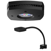 Aquarium AIO 35.2 Aspen WATERBOX - 125 L