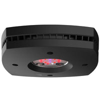 AI Prime Fuge noir AQUA ILLUMINATION 46W - Rampe LED pour Refuge