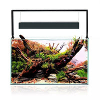 Aquarium UltraScape 60 Set AQUAEL - Forest 64 L