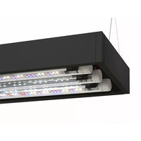 Aquarium UltraScape 60 Set AQUAEL - Forest 64 L