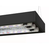 Aquarium UltraScape 60 Set AQUAEL - Forest 64 L
