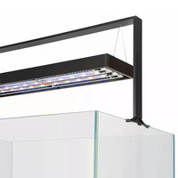 Aquarium UltraScape 90 Set AQUAEL - Forest 240 L