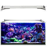 Éclairage LED Leddy Slim Actinic AQUAEL - Blanc 32W