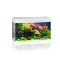 Aquarium Opti Set 125 Blanc AQUAEL - 125L